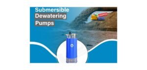10 Best Borewell Submersible Pump Brands In India