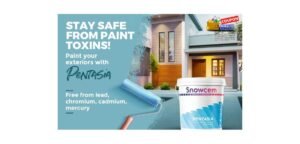 9 Best Paint Brands In India