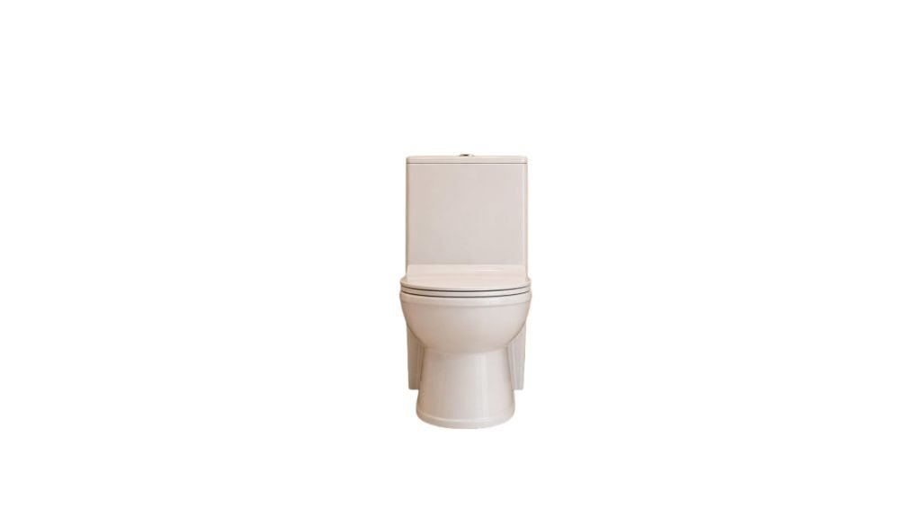 19 Different Types of Commodes in India 7 Double Flush commodes