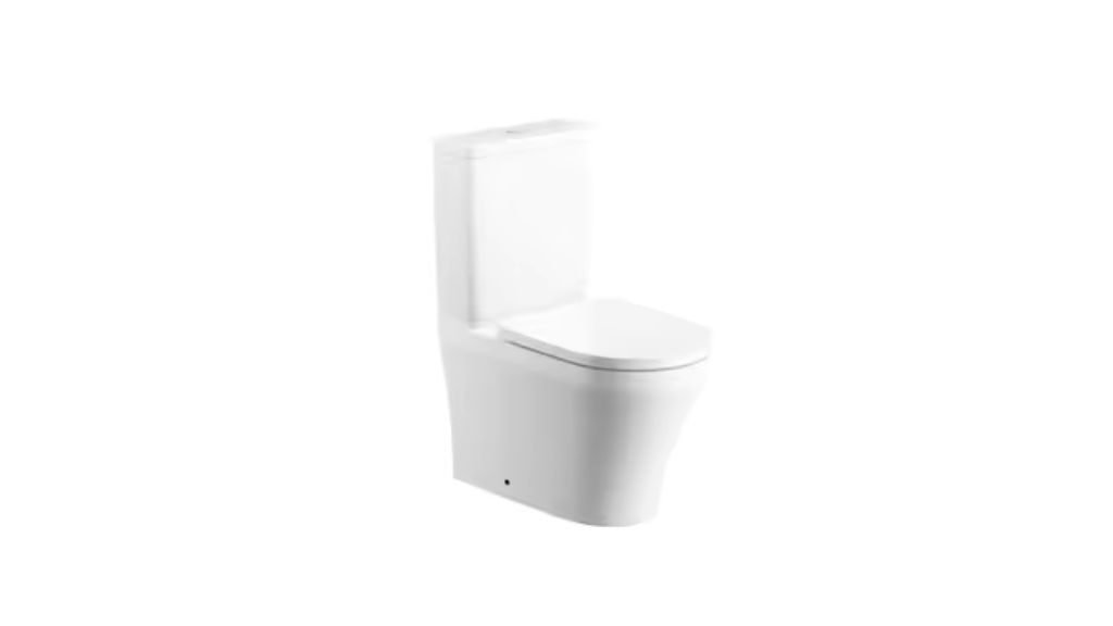 19 Different Types of Commodes in India 12 Double Cyclone Flush commodes