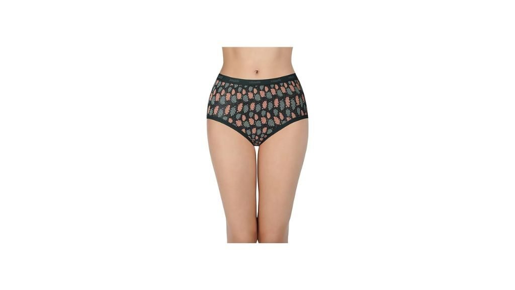 15 Types of Panties For Girls & Ladies 4 High Rise Panties (Briefs)