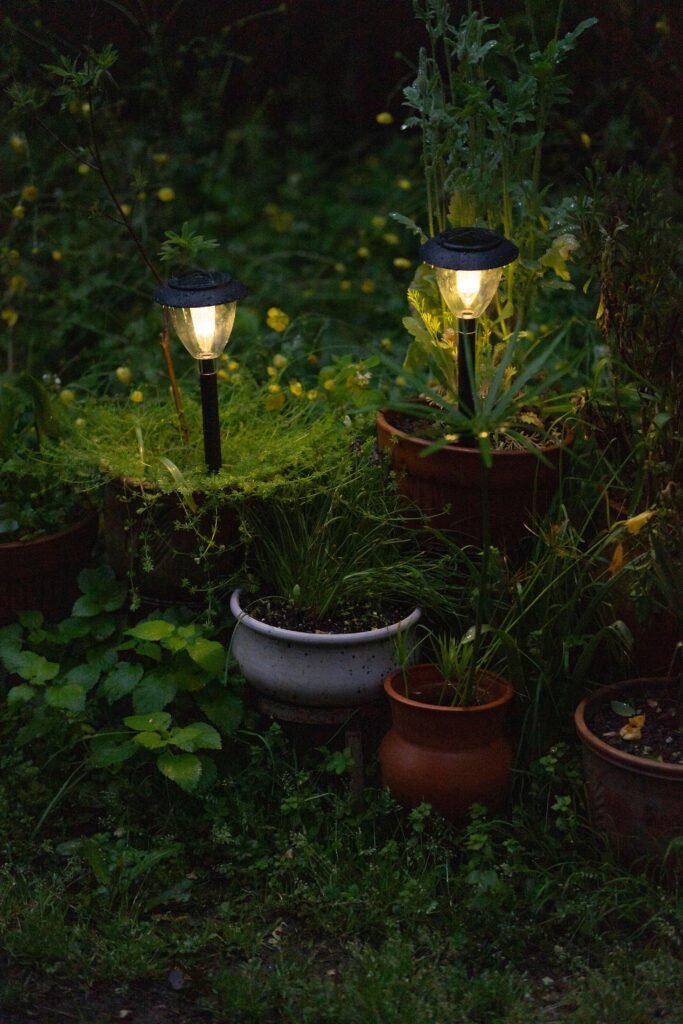 Solar Garden Light