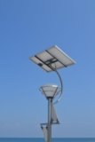 Best Solar Lights for Home: Top 15 (Indoor + Outdoor + Garden)